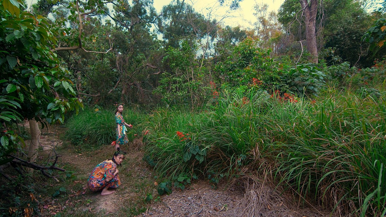島十六 —回憶未來的風景