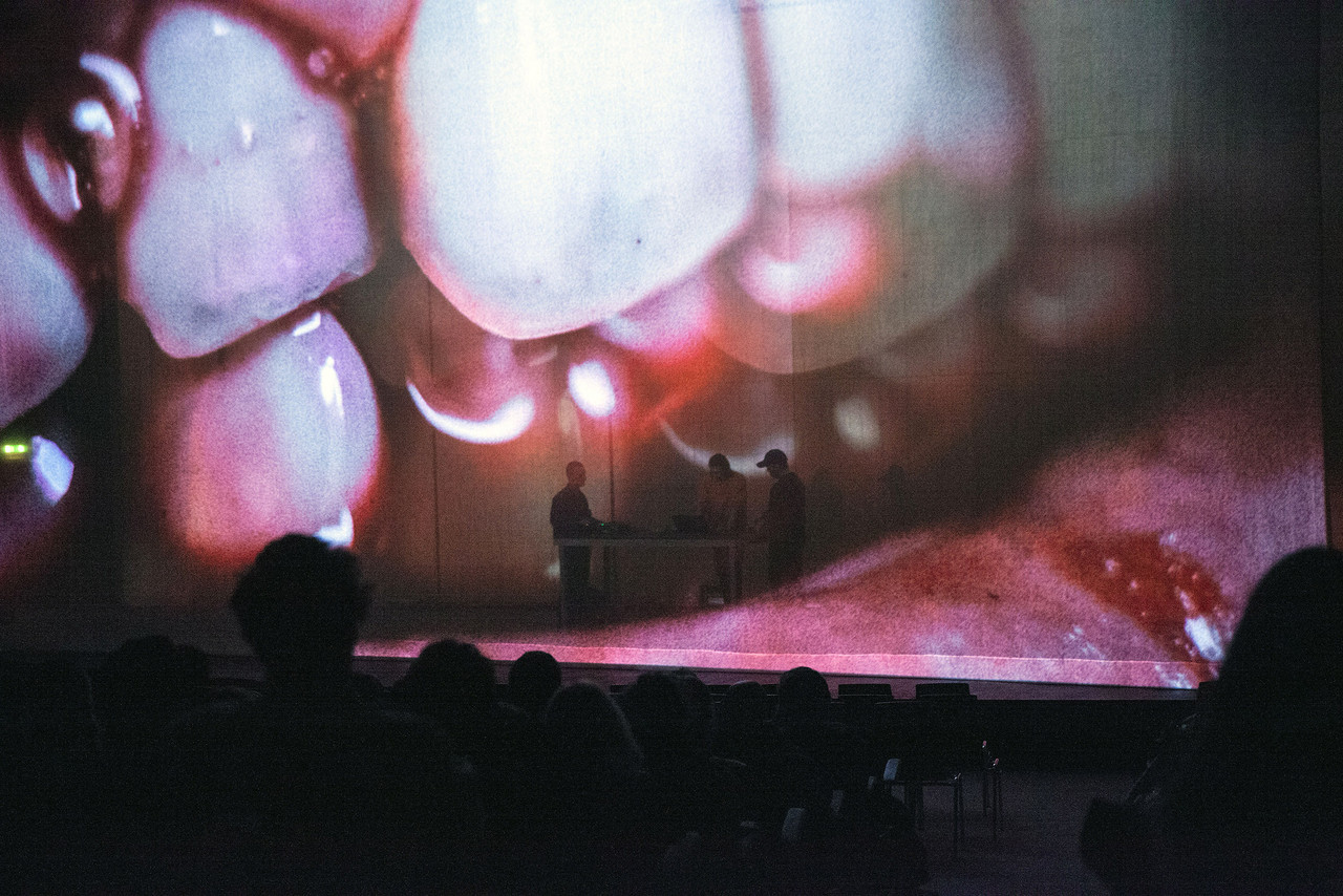 Amnesia Scanner & Bill Kouligas present "Lexachast" at the HKW for the 2017 CTM and transmediale collaborative concert.